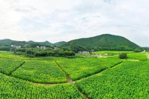 【紫金“百千万”・三年见成效】发展现代工业，做强特色产业，紫金县域经济“百花齐放”